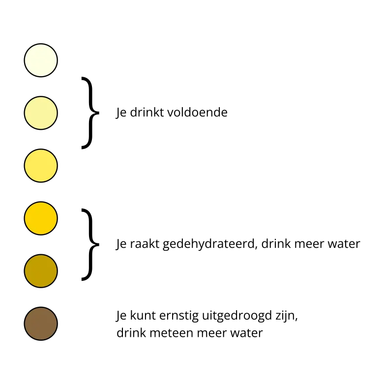 Urine schema Drink ik genoeg?