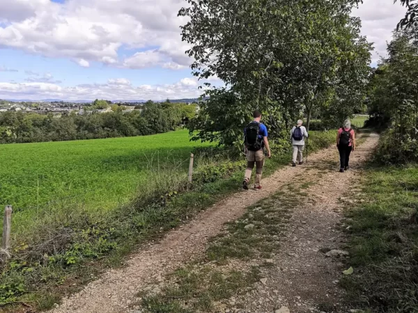 Kan ik afvallen door wandelen?